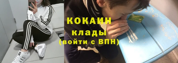 тгк Арсеньев