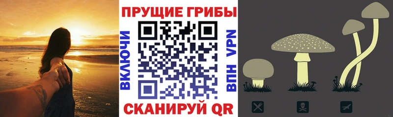 Галлюциногенные грибы прущие грибы Окуловка